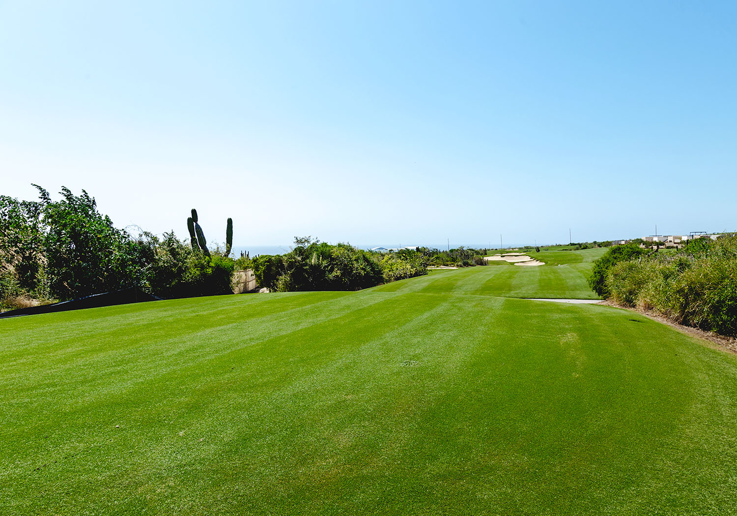Hole #15
