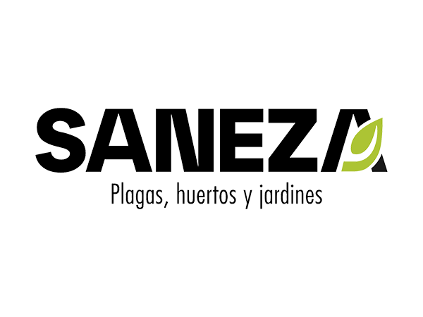 Saneza